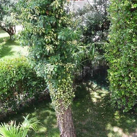 Willa A Cozy Duplex In The Lalzi Bay Durrës